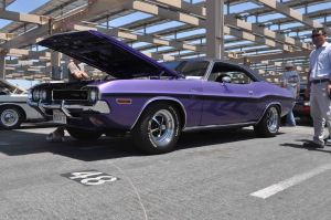 plumcrazychallenger