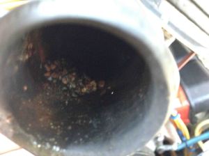 Some extra crud sitting in the upper hose. Clean it.